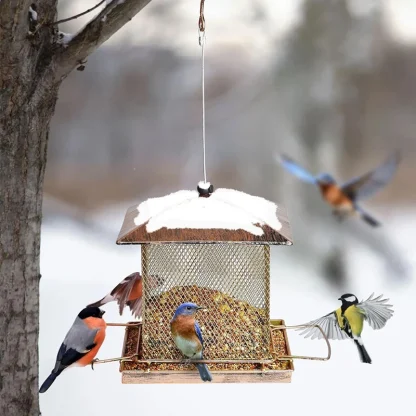 Squirrel Proof Bird Feeder