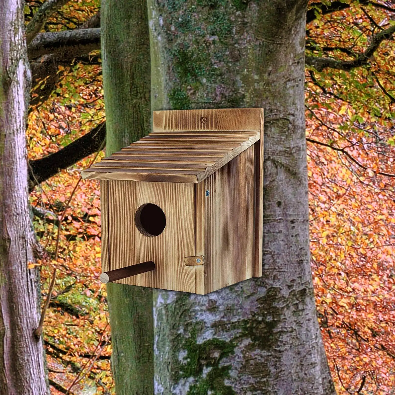 Bird House Birds Nest Bird Feeder Bluebird House Wooden Bird Box Hanging