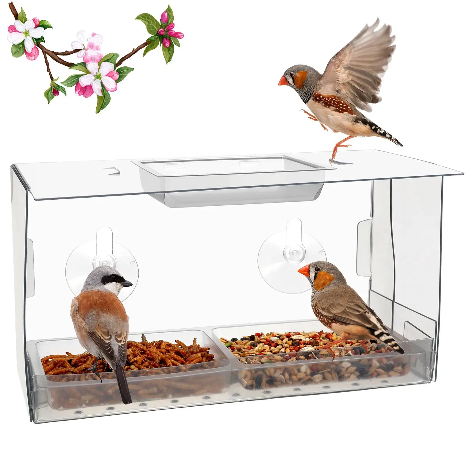 Bird Feeder Window Mount with Suction Cups Transparent Outside Birdhouse for Cardinals Bluebird Viewing Finches Chickadees