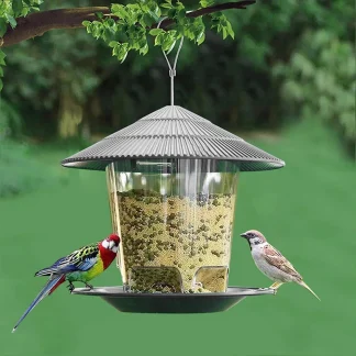 Gazebo Shape Bird Feeder