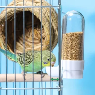 Transparent Dispenser Bird Feeder