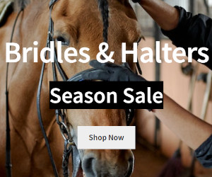 Birdle and Halter